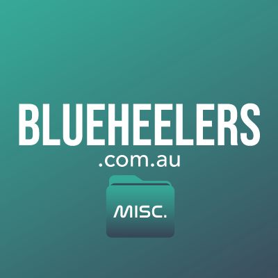 blueheelers.com.au