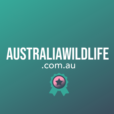 australiawildlife.com.au