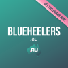 blueheelers.au