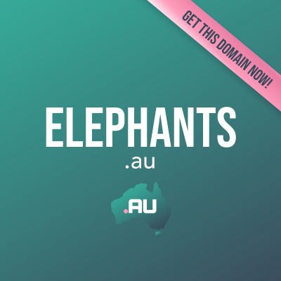 elephants.au