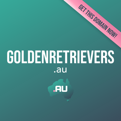 goldenretrievers.au